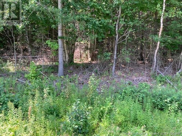 0 Frye Rd, Chamcook, NB E5B 3R6