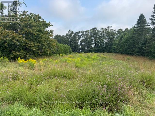 125 Grahams Hill Rd, Georgian Bluffs, ON N0H 2T0