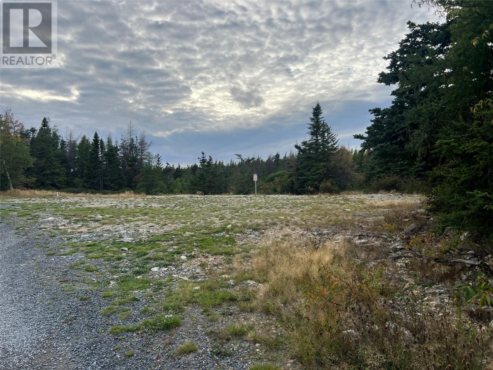 72 Gully Path, Harbour Grace, NL A1A 2M0