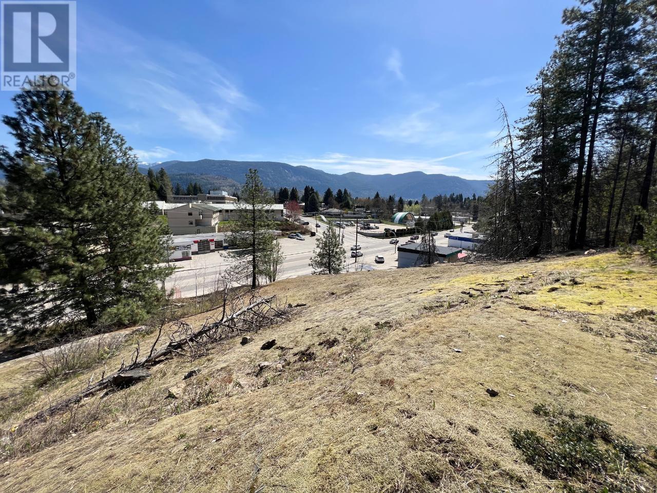 944 Columbia Ave, Castlegar, BC V1N 1H2