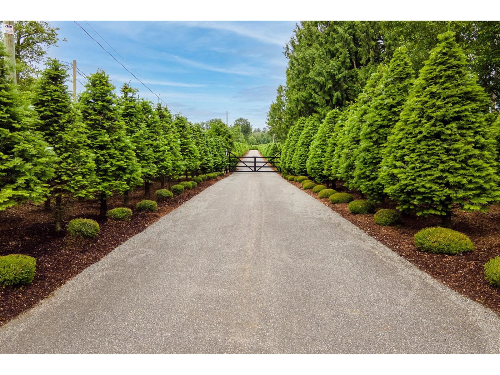 256 Street Unit 2675, Langley, BC V4W 1Y3