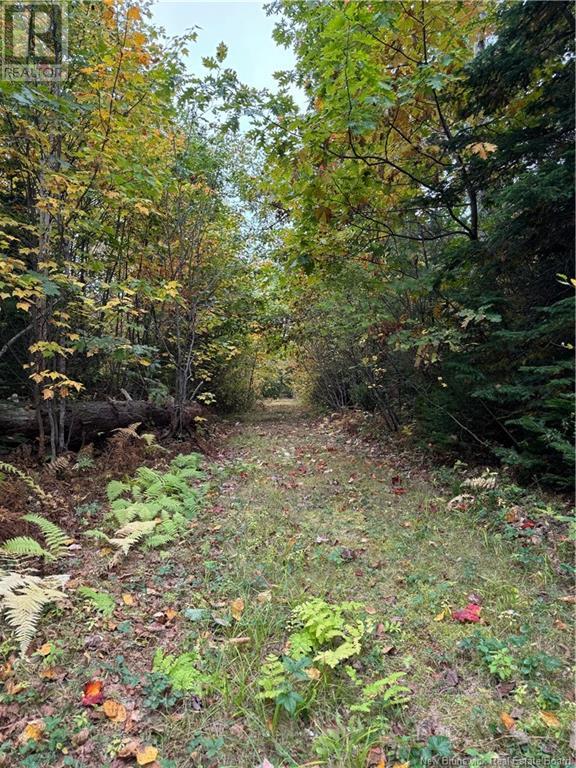2 Wegesegum Road, Long Creek, NB E4A 2R7