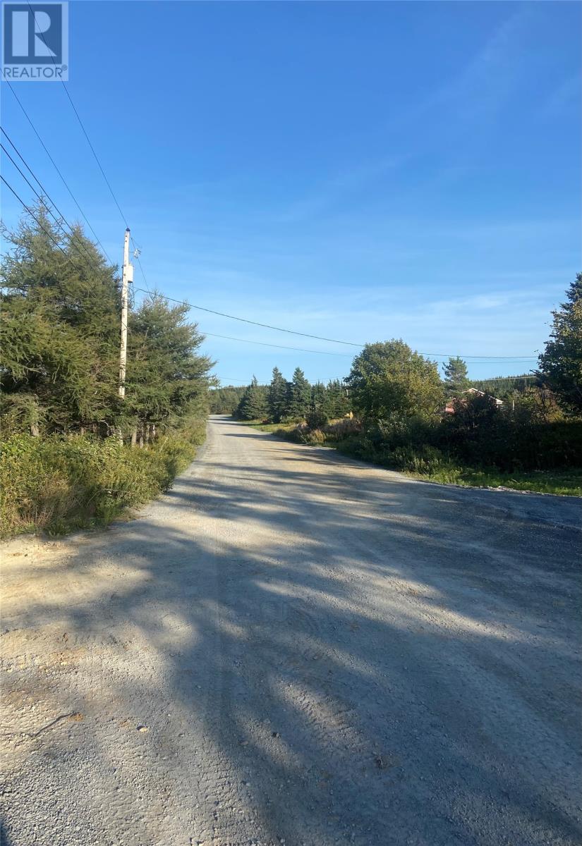 452 Swansea Rd, Victoria, NL A0A 4G0