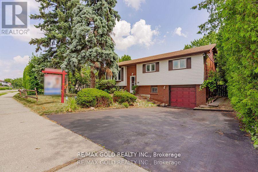 38 Duke Rd, Brampton, ON L6T 3K3