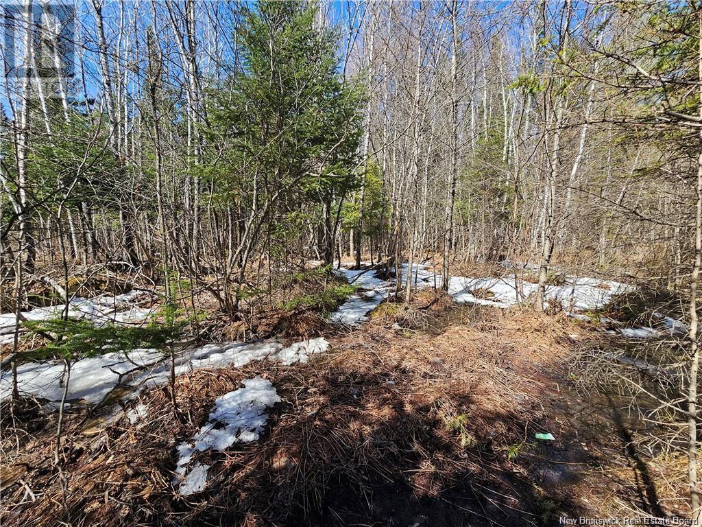 New Brunswick 385, Plaster Rock, NB E7G 3H8