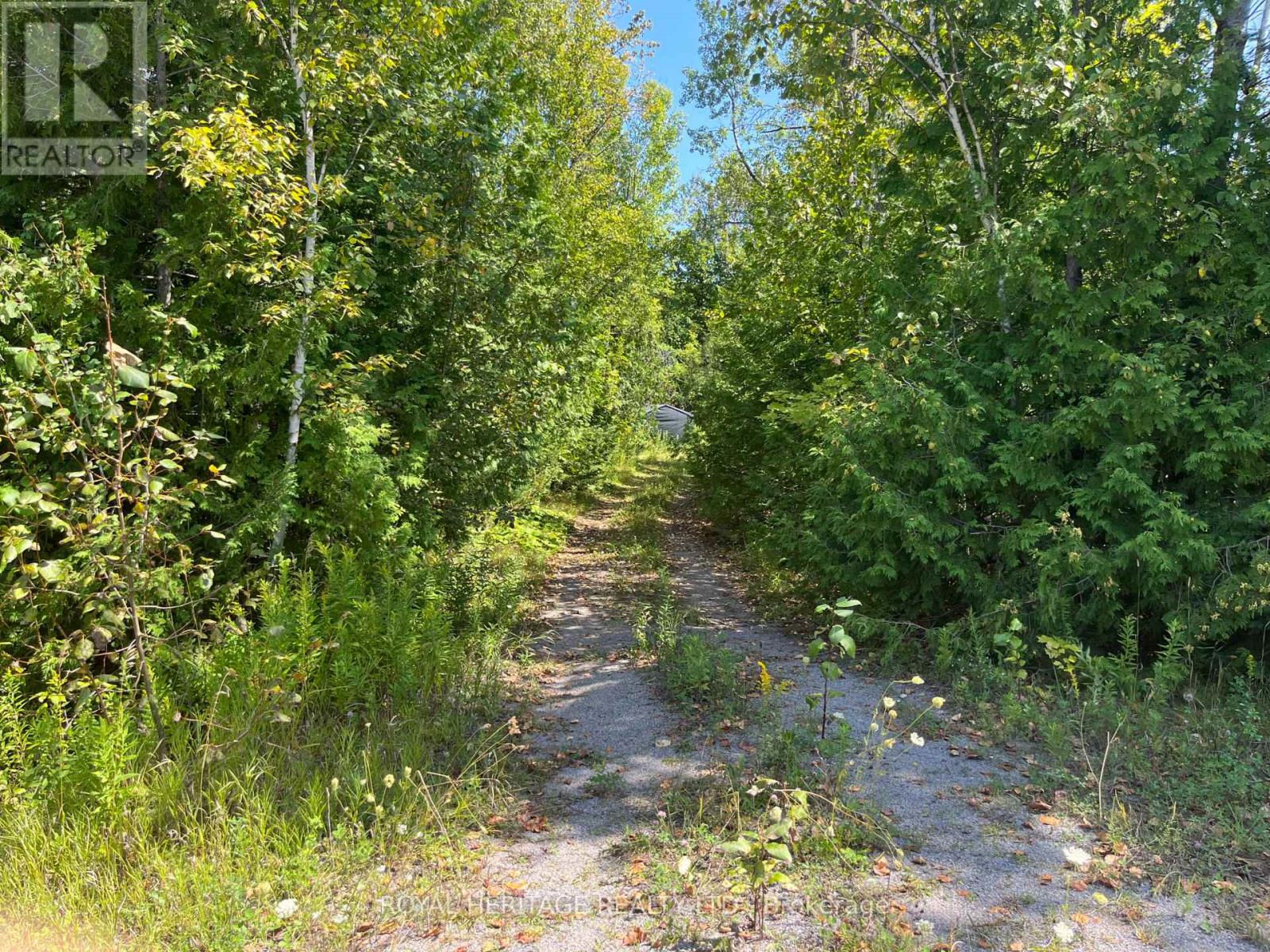 0 Sumcot Dr, Trent Lakes, ON K9J 6X2
