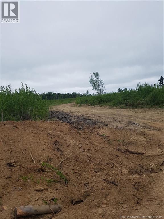 Lot 1 Clearwater Brook, Astle, NB E6A 1P9