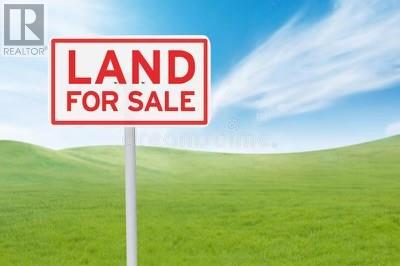 0 Springdale Junction Rd Rd, Springdale, NL A0J 1T0