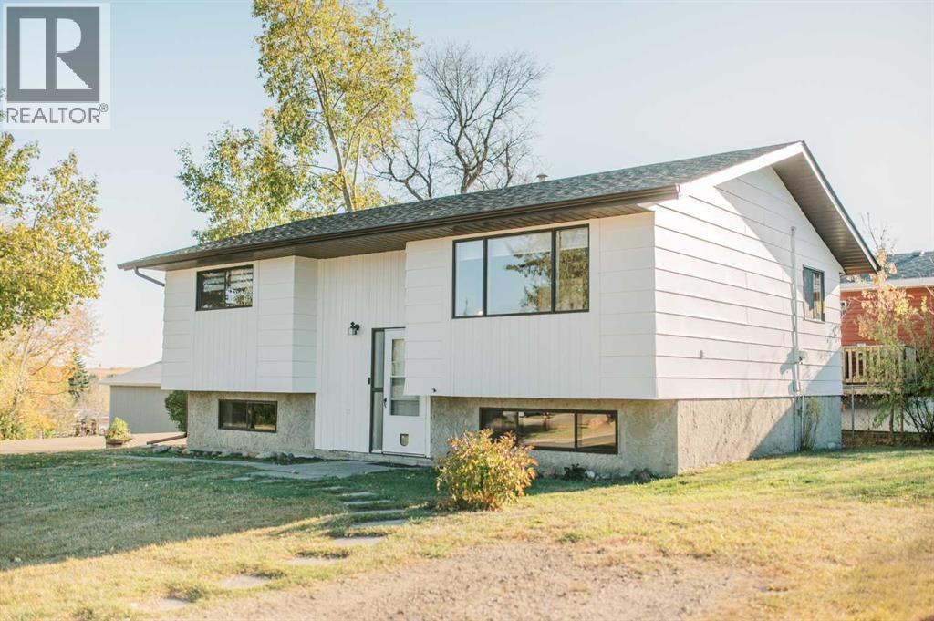 121 3 Avenue South, Big Valley, AB T0J 0G0