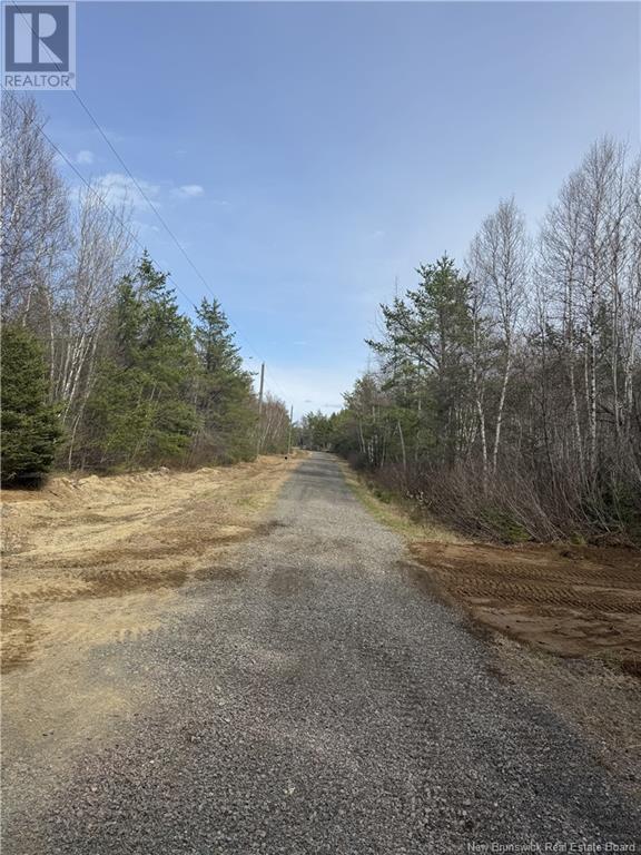659 Chemin St Charles Sud, Saint-charles, NB E4W 4V6