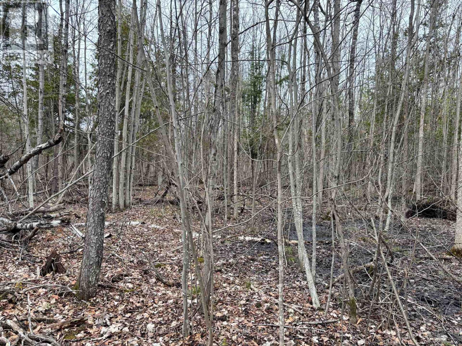 0 Dixon Rd, Augusta, ON K6V 5T2