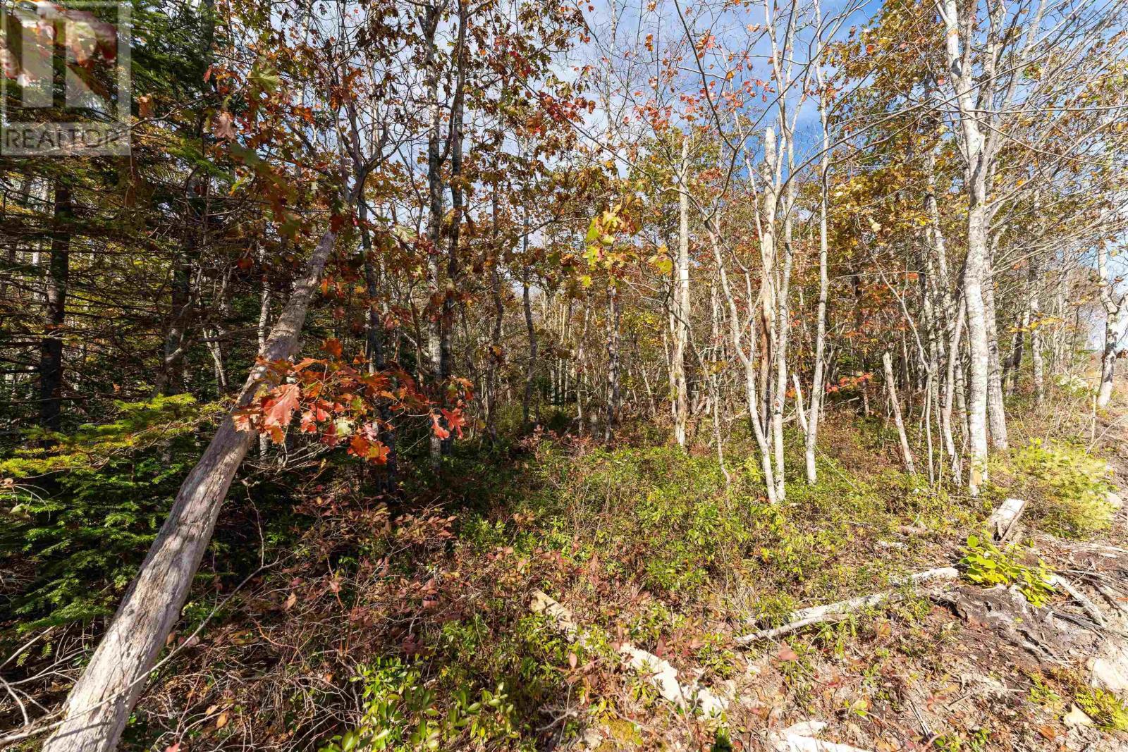 65 Morton Dr, Liverpool, NS B0T 1K0