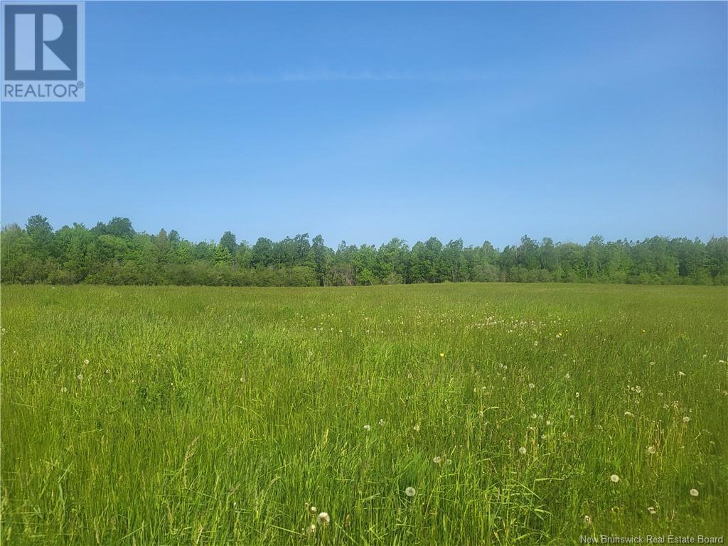 24 Old Mill Rd #-1, Shediac, NB E4P 3C4