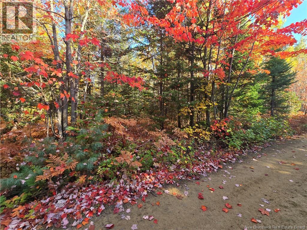 28 Acres Rue Des Fondateurs, Petit-paquetville, NB E8R 1B3
