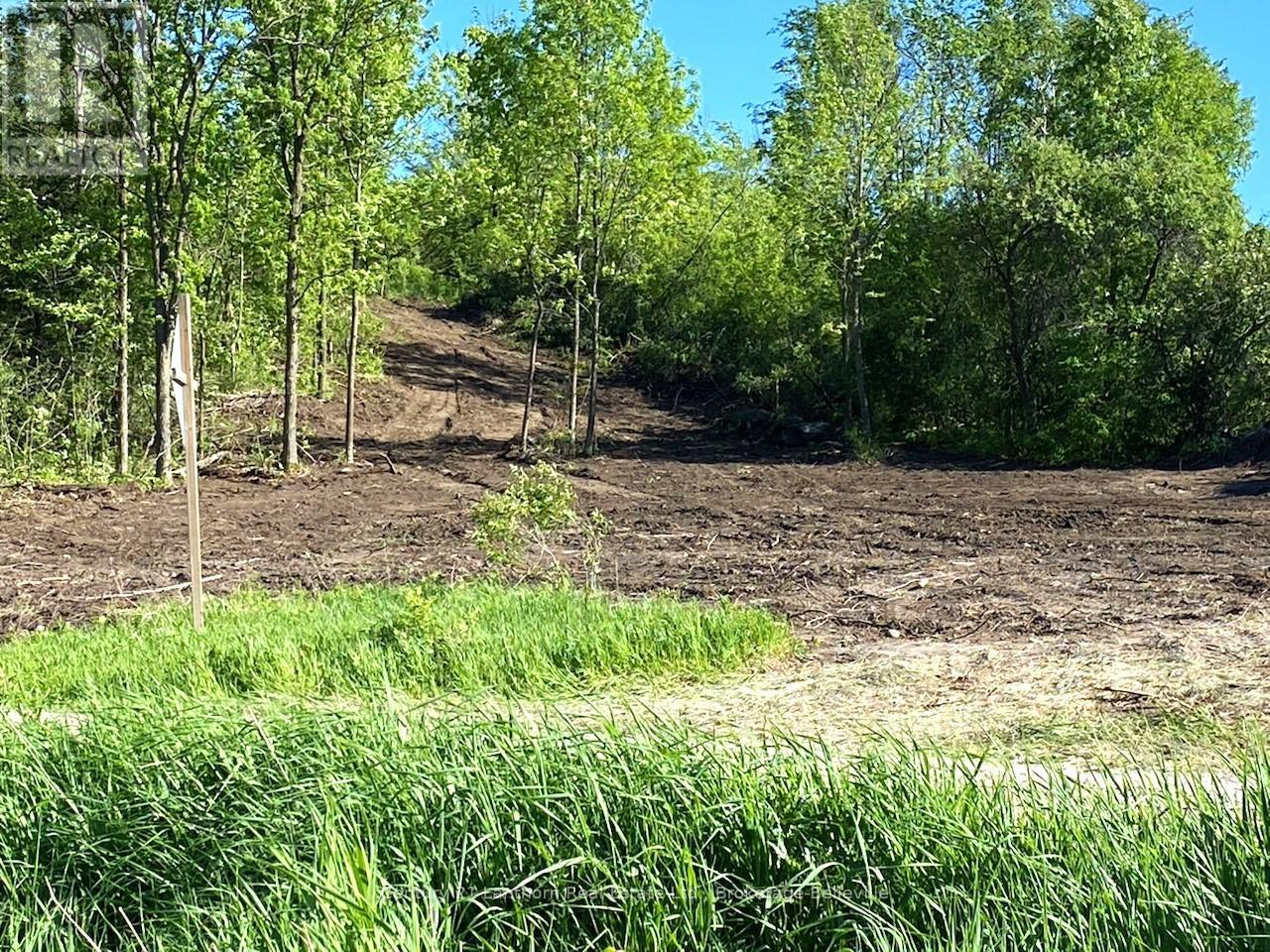 0 Devils Valley Rd, Trent Hills, ON K0L 1L0