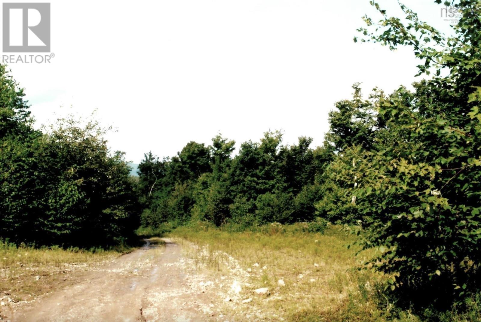 Lots 2 & 3 Big Brook Road, Big Brook, NS B0E 2Y0