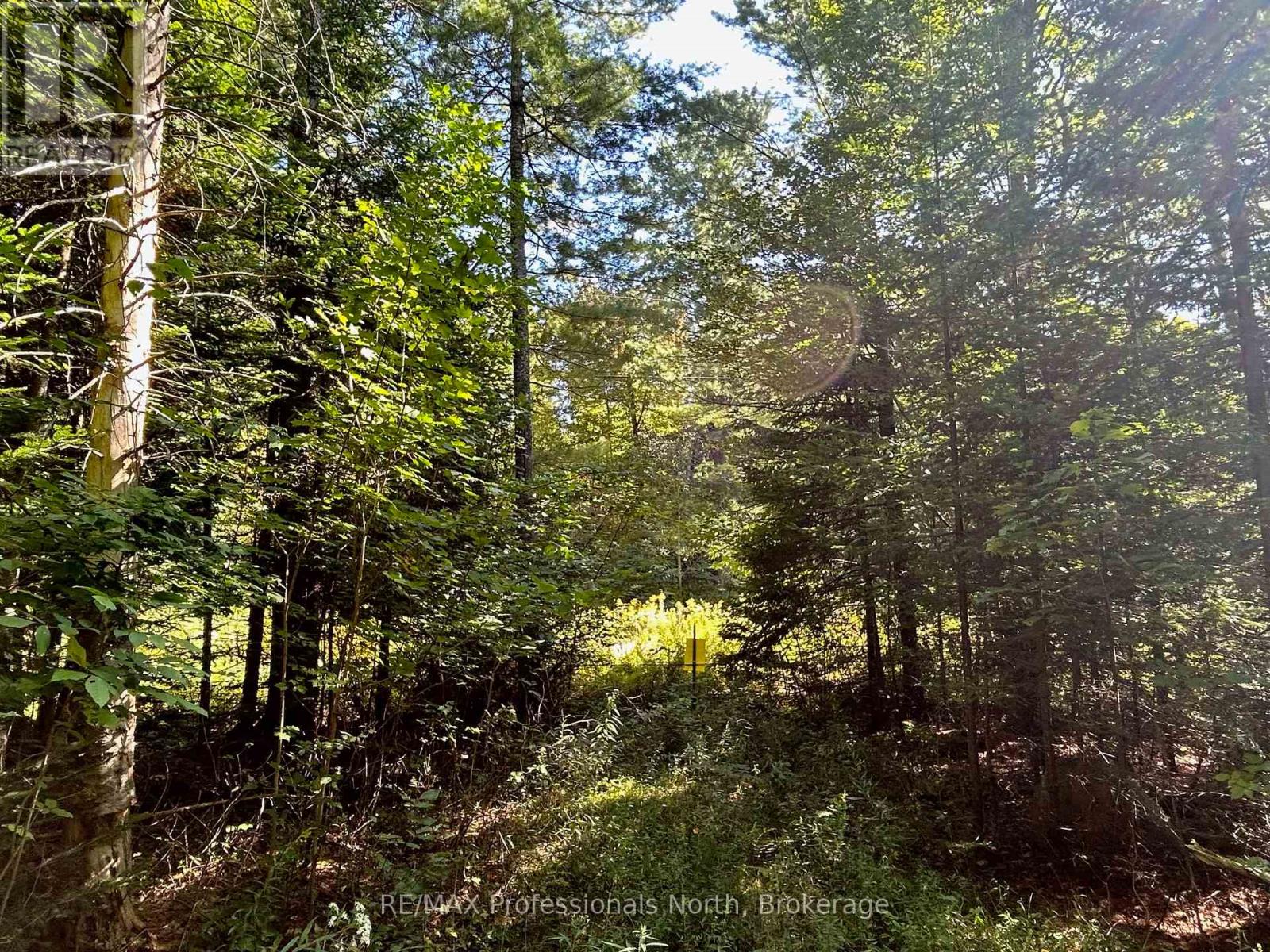 0 Gates Rd, Dysart Et Al Dysart, ON K0M 1S0