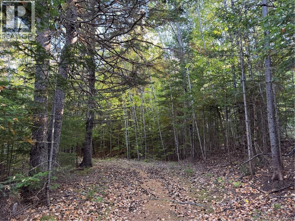 Lot Cleveland Road, Shepody, NB E4H 4J7