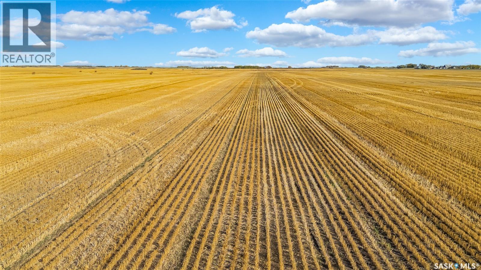 Balion Farmland, Lost River Rm No. 313, SK S0K 0C0