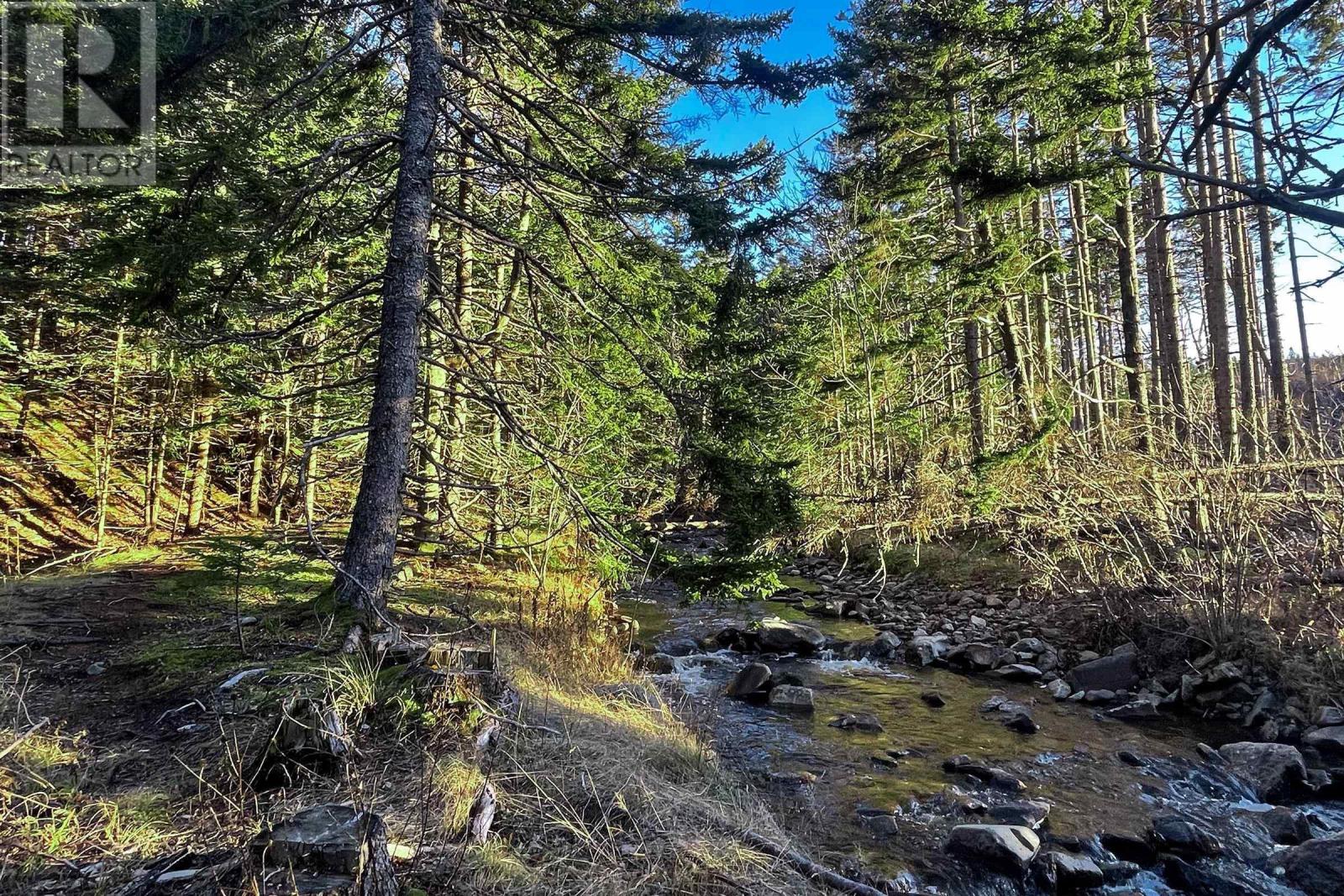 Lot Shore Road E, Mount Hanley, NS B0S 1P0