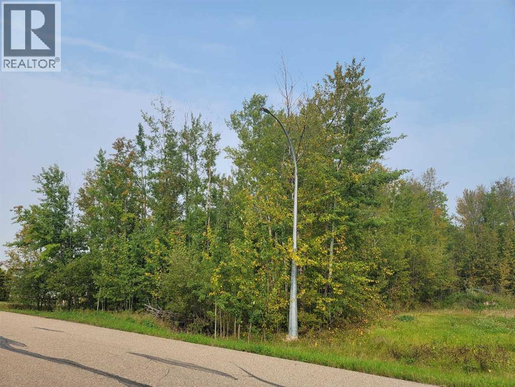 5404 Spruce Ave, Wandering River, AB T0A 3M0