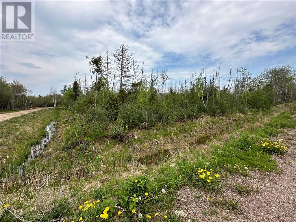 11 All Gite #75, Grand-barachois, NB E4P 7V6