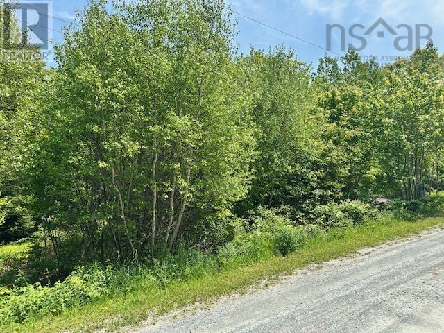 Lot Pid APT 70088083 North Street, Brooklyn, NS B0J 1H0