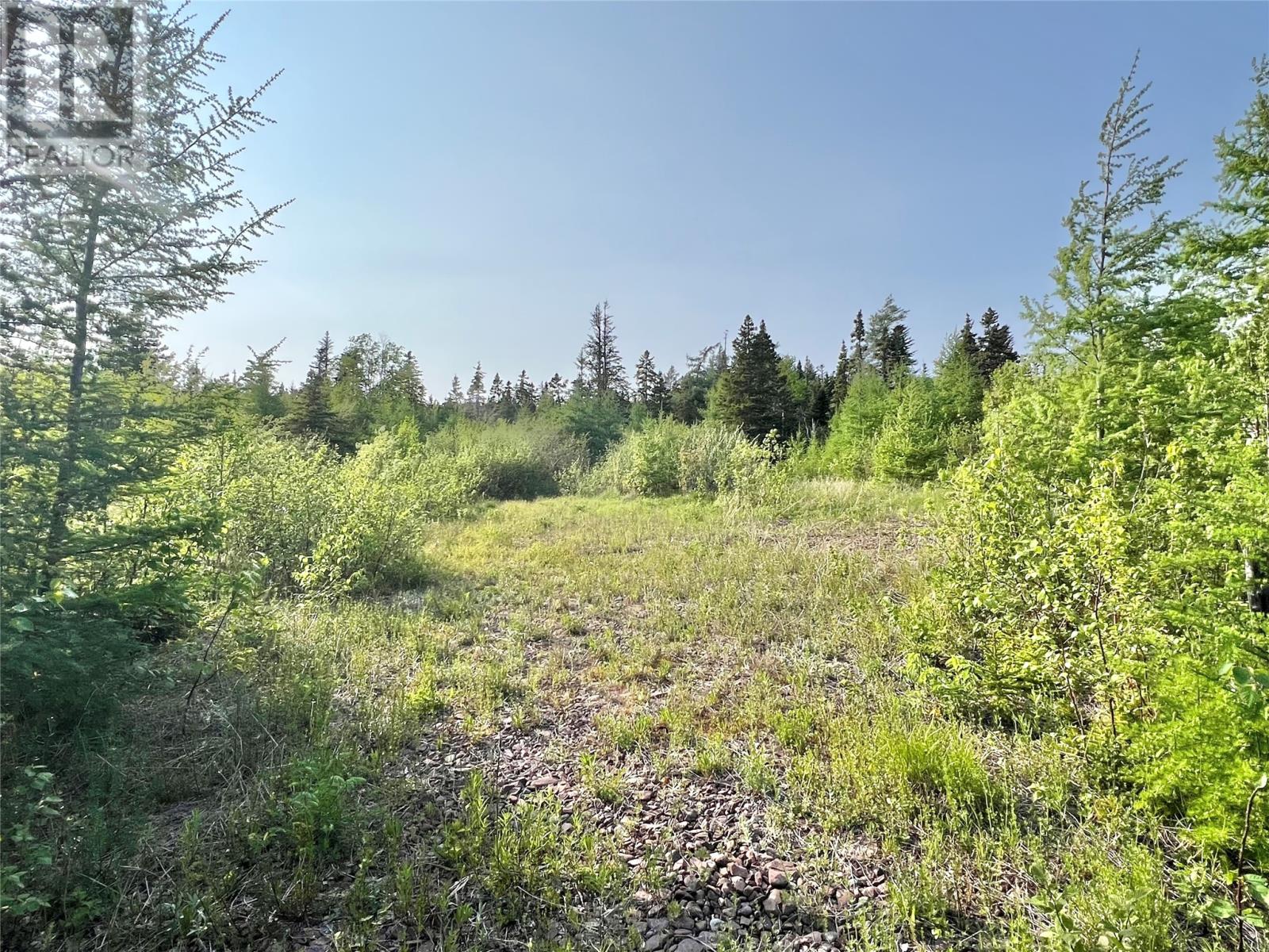 437 Main St, Northern Arm, NL A0H 1E0