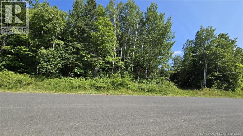 Lot Des Chalets Road, Saint-arthur, NB E3N 5P3