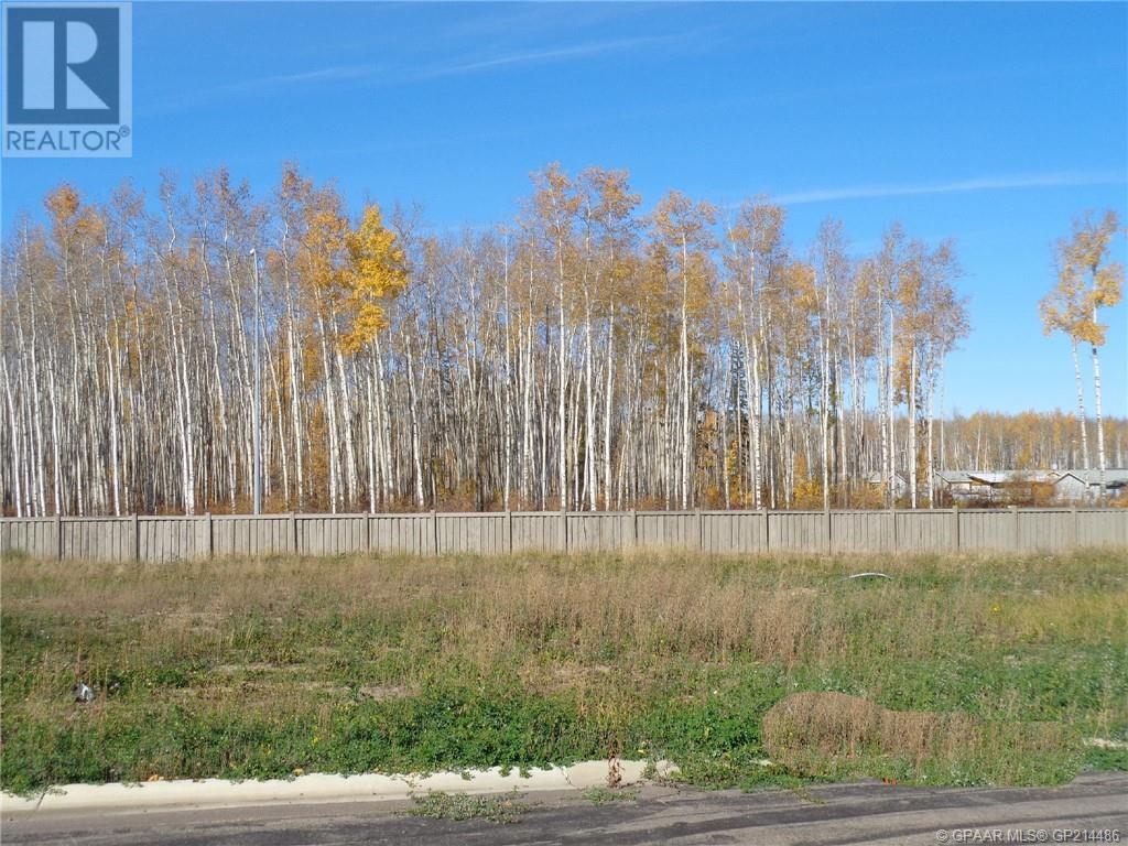 13 Bear Creek Dr, High Level, AB T0H 1Z0
