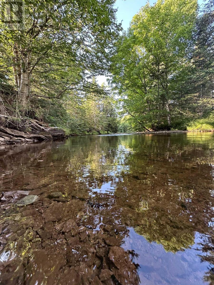 Ripley Road, Williamsdale, NS B0M 1E0