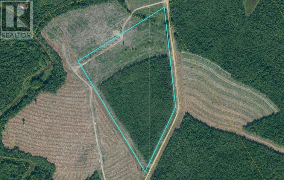 Lot Douglas Road, Coates Mills, NB E4V 3E3