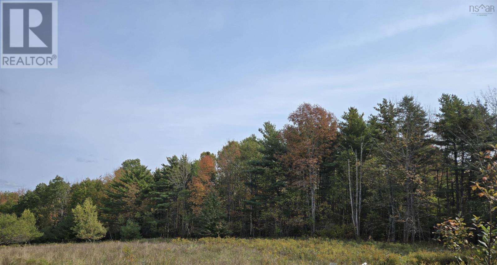 1 Lower Branch Rd, Lower Branch, NS B4V 4M1