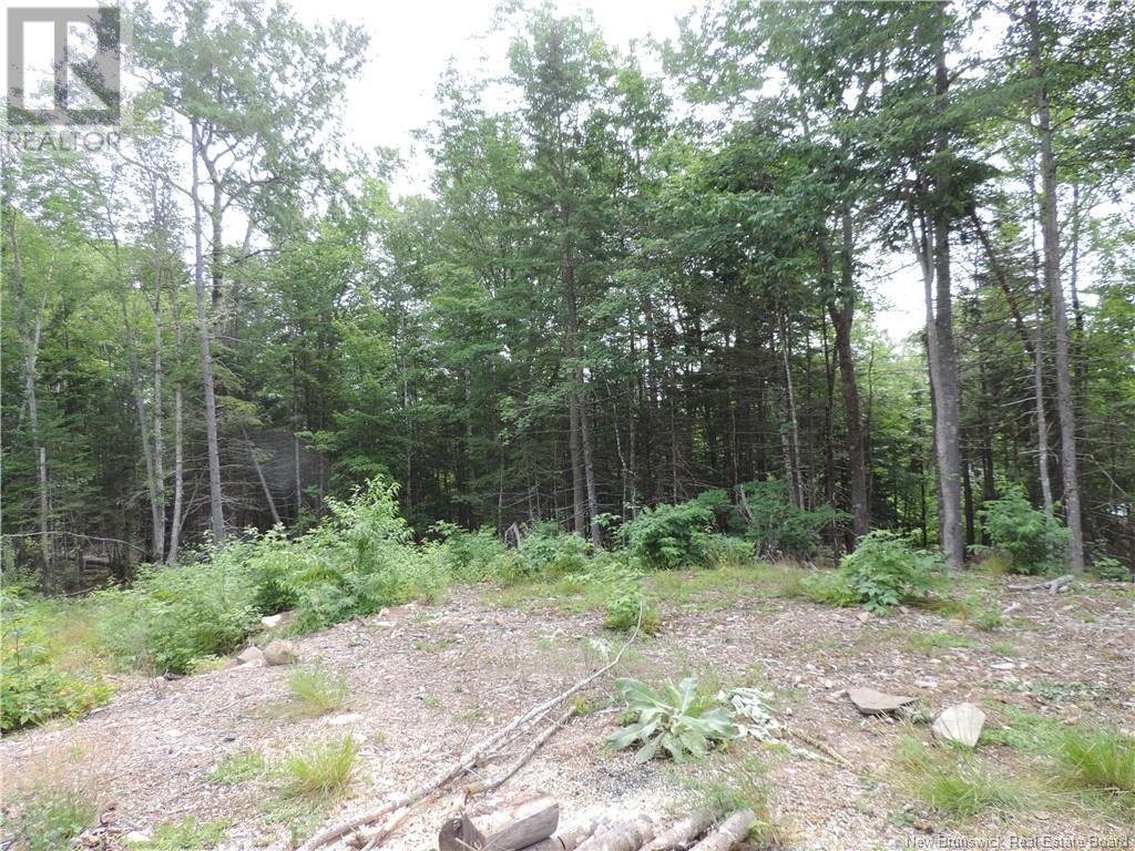 1293 Brittain Rd, Lower Greenwich, NB E2K 4K2