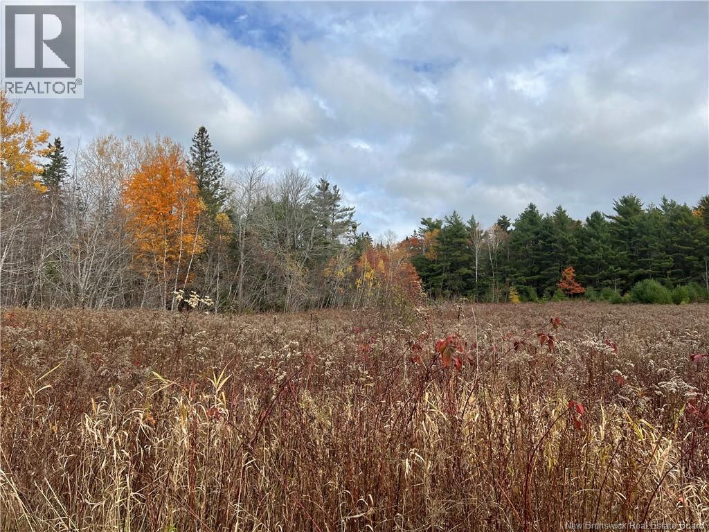 01 Hall Rd, Mohannes, NB E3L 5V8