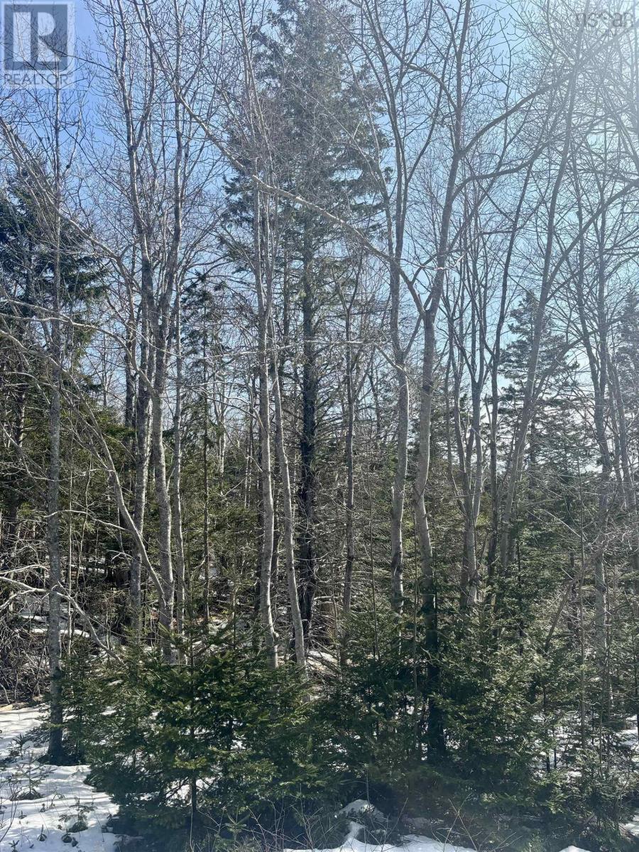 Pleasant Hill Road|port Hastings, Port Hastings, NS B9A 1X3