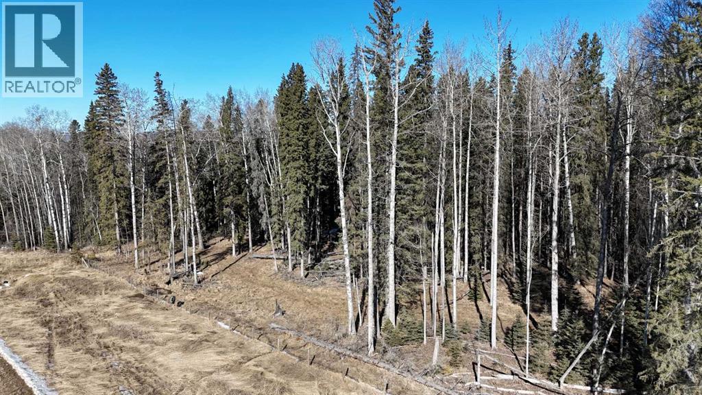 Township Road 570, Rural Yellowhead County, AB T7E 3Z7