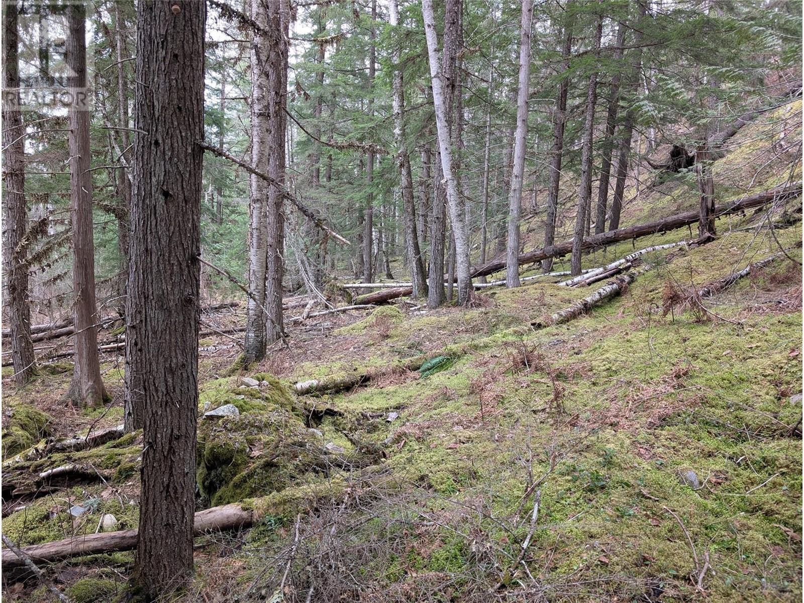 Lot 3 Ollanson Road Lot APT 3, Seymour Arm, BC V0E 2V2