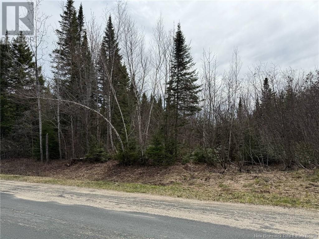 1 Parker Rd #98, Williamstown, NB E1V 5E8