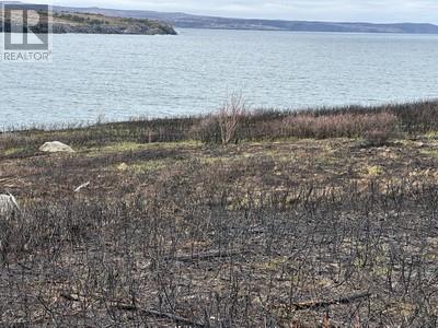3 Lighthouse Rd #-5, Western Bay, NL A0A 4J0