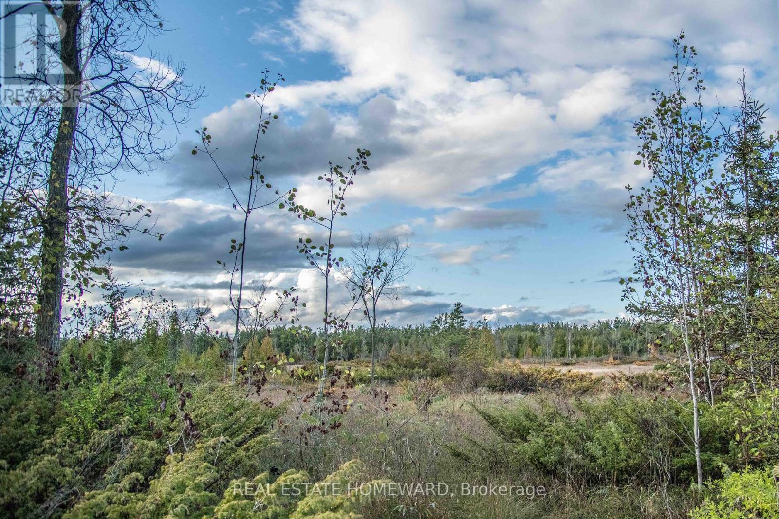254 Mcguire Beach Rd, Kawartha Lakes, ON K0M 2B0