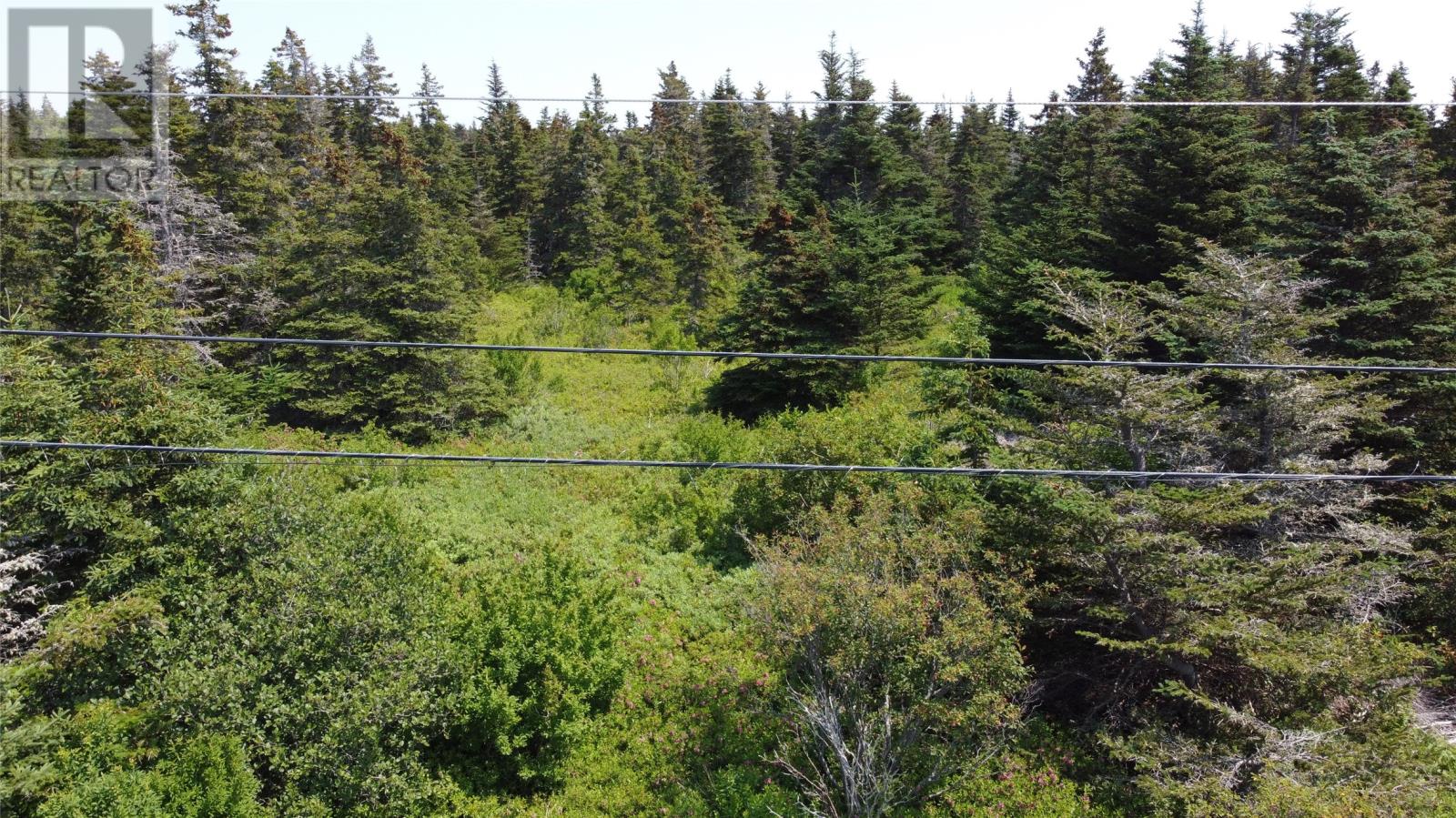 0 Mcnamara Cres, Harbour Grace, NL A0A 2M0