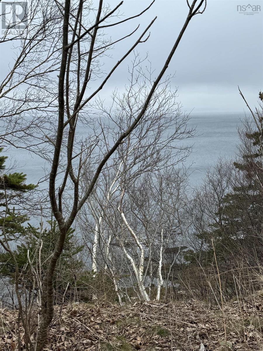 0 Highway 16, Peas Brook, NS B0H 1N0