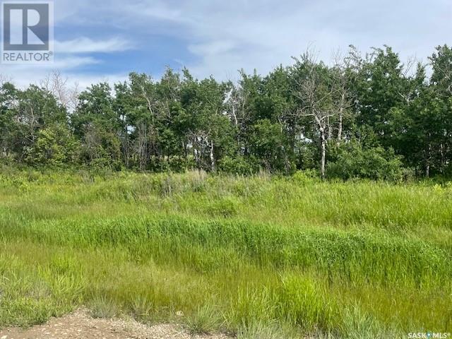 Lot 6 Viceroy Road, North Battleford Rm No. 437, SK S9A 0S6