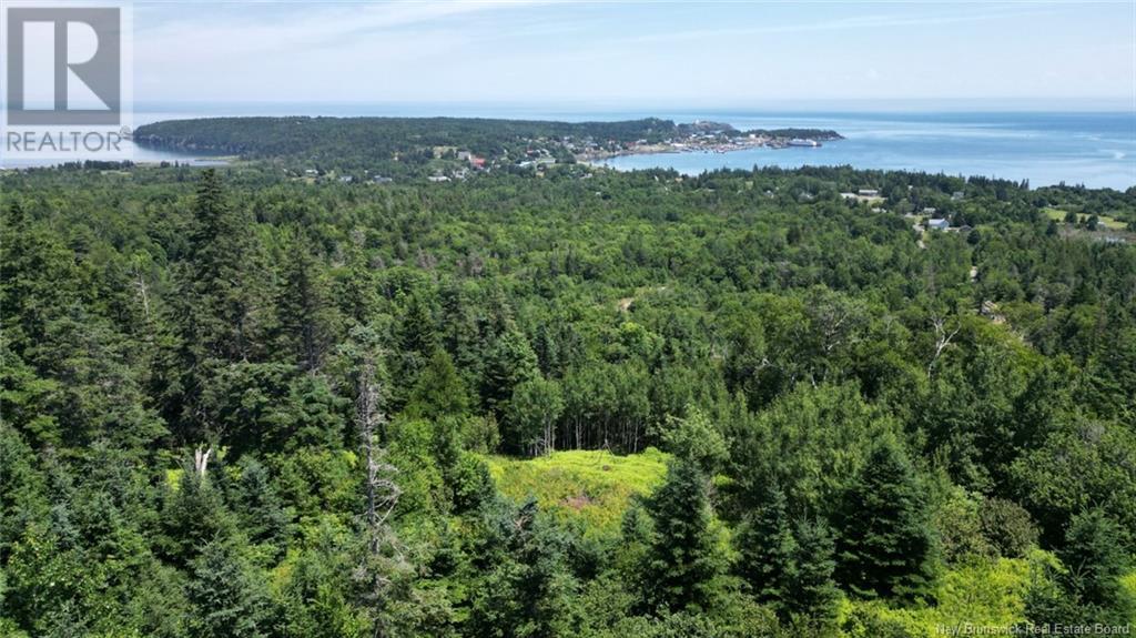 1 Green Street #04, Grand Manan, NB E5G 4B8