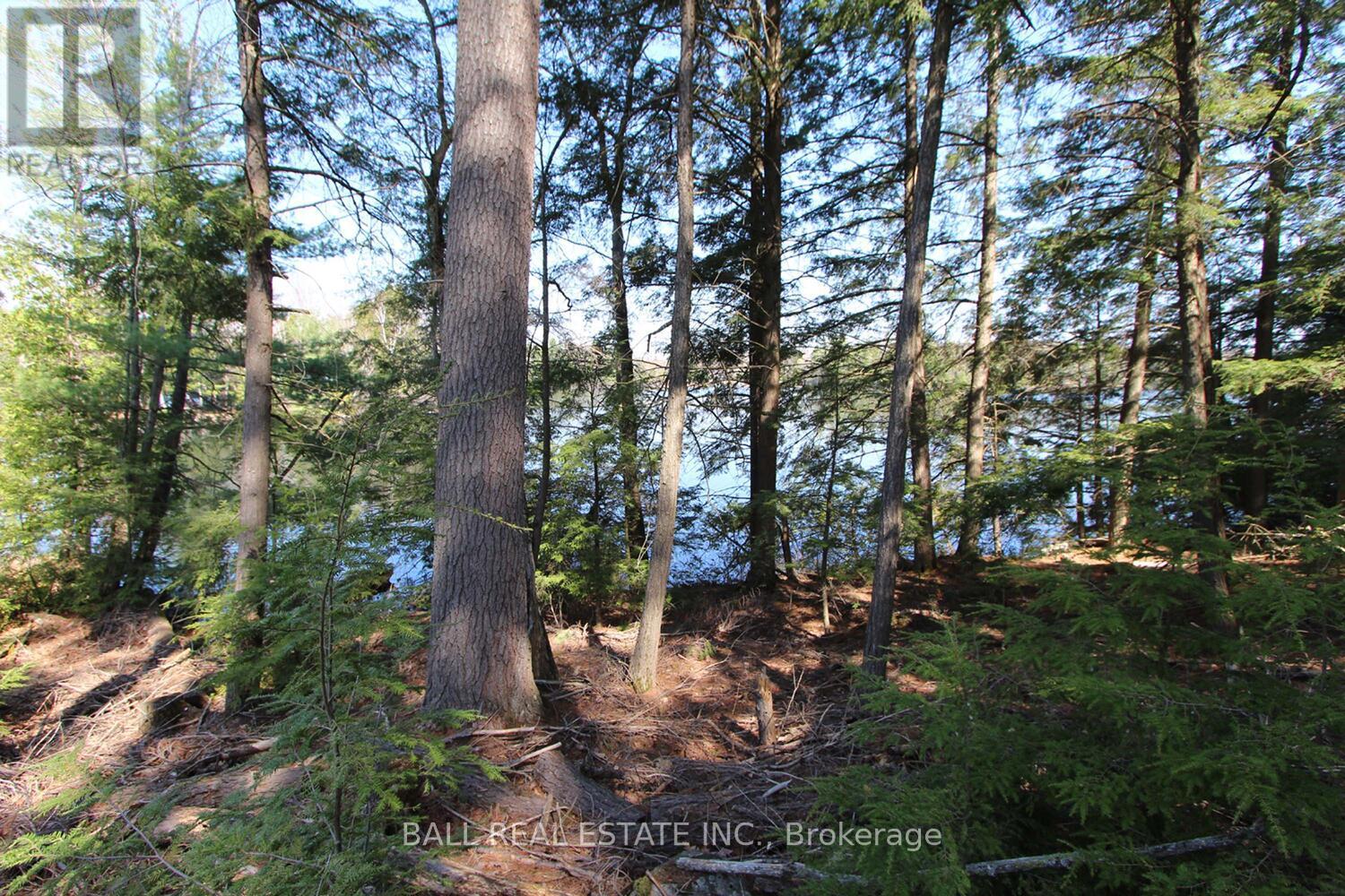 Pt2&3 Fire Route 223, Trent Lakes, ON K0L 1J0