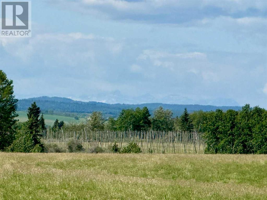 Rr40 South Of Twp Rd 293, Rural Mountain View County, AB T0M 0S0