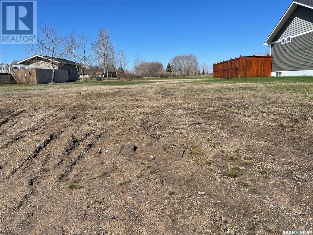 133 Cameron Cres, Watson, SK S0K 4V0