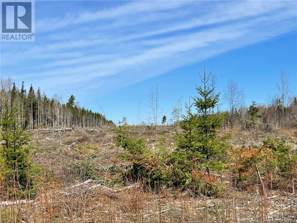 Semiwagan Road, Barnaby, NB E1N 6E5