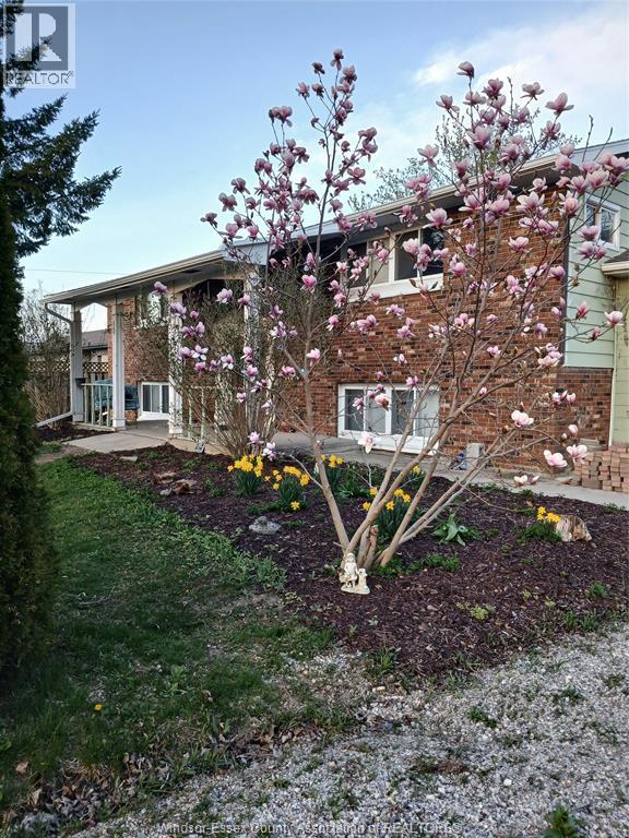 8 Story St, Chatham-Kent, ON N0P 1A0